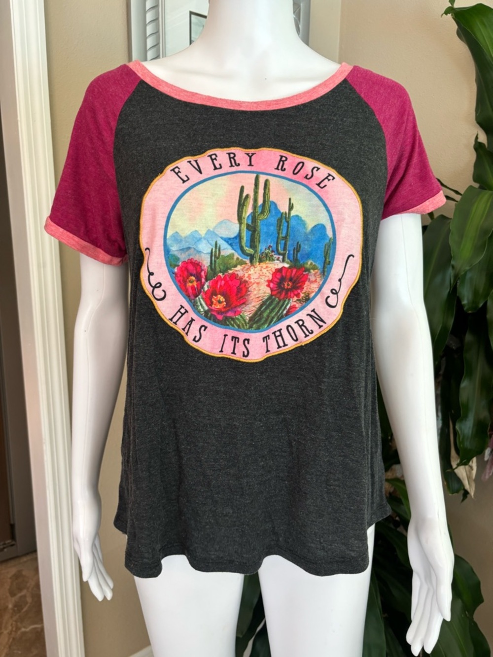 Southern Grace Charcoal Body Pink Raglan Desert Rose Graphic Tee